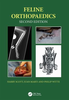 Feline Orthopaedics - Scott, Harry; Marti, Juan M.; Witte, Philip