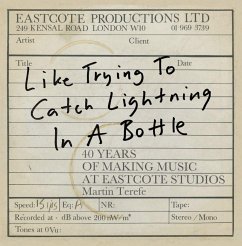 Like Trying to Catch Lightning in a Bottle - Terefe, Martin