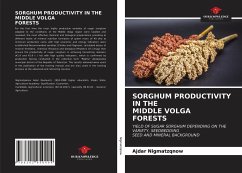 SORGHUM PRODUCTIVITY IN THEMIDDLE VOLGAFORESTS - Nigmatzqnow, Ajdar