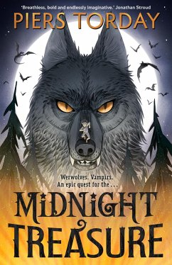 Midnight Treasure: Book 1 - Torday, Piers