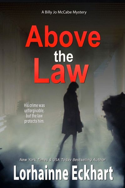 Above the Law (eBook, ePUB)