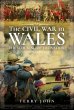 The Civil War in Wales - Bild 1