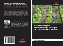 Harvest despite Pseudomonas syringae pv. phaseolicola strains - Ndabaneze, Eric