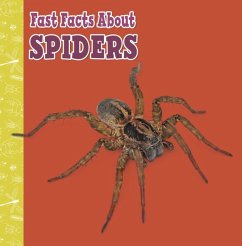 Fast Facts About Spiders - Garstecki-Derkovitz, Julia