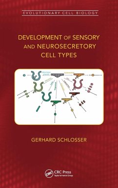 Cover Development of Sensory and Neurosecretory Cell Types