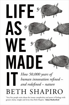 Life as We Made It - Shapiro, Beth