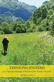 Thinking Systems