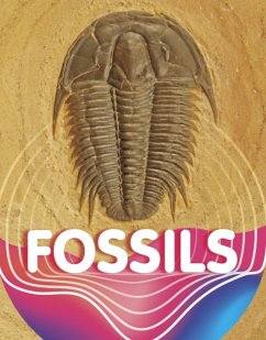 Fossils - Sipperley, Keli