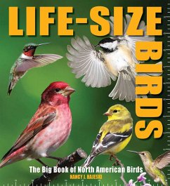 Life-Size Birds: The Big Book of North American Birds - Hajeski, Nancy J.