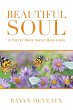 Beautiful Soul - Bild 1