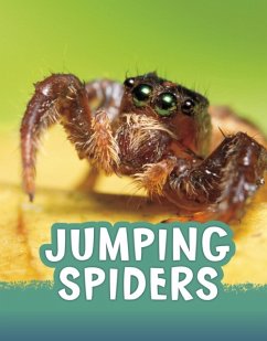 Jumping Spiders - Jaycox, Jaclyn