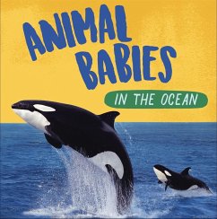 Animal Babies: In the Ocean - Ridley, Sarah