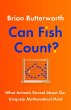 Can Fish Count? - Bild 1