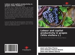 Labour and capital productivity in grapes (Vitis vinifera L.) - Ríos Flores, José Luis;Chávez Rivero, José Antonio;Gámez García, José Iván