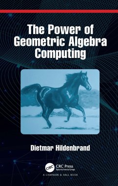 The Power of Geometric Algebra Computing - Hildenbrand, Dietmar