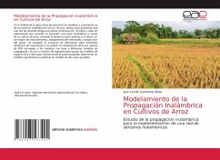 Modelamiento de la Propagación Inalámbrica en Cultivos de Arroz - Zambrano Meza, Juan Camilo