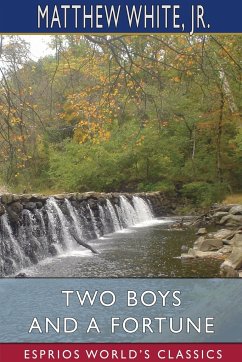 Two Boys and a Fortune (Esprios Classics) - White, Matthew; Jr.