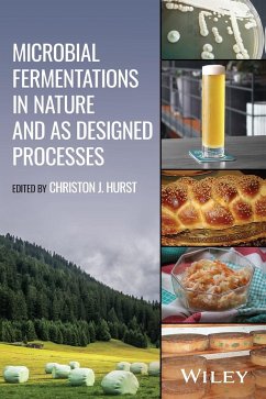 Microbial Fermentations in Nature and as Designed Processes - Hurst, Christon J
