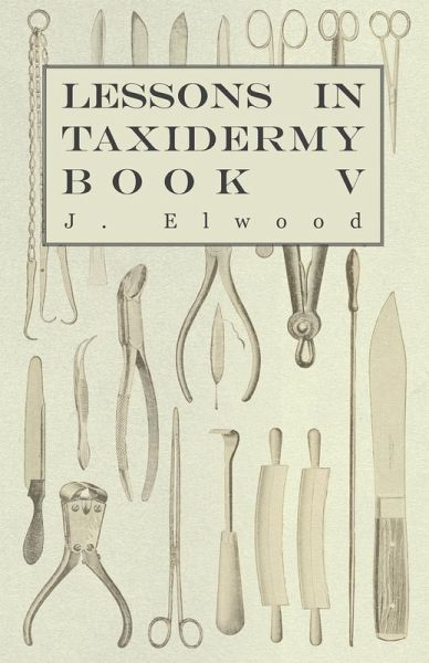 Lessons in Taxidermy - A Comprehensive Treatise on Collecting and Preserving all Subjects of Natural History - Book V. (eBook, ePUB) Lessons in Taxidermy - A Comprehensive Treatise on Collecting and Preserving all Subjects of Natural History - Book V. (eBook, ePUB)