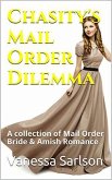 Chasity's Mail Order Dilemma (eBook, ePUB)