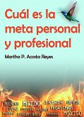 Cuál es la meta personal y profesional (eBook, ePUB)