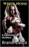 White Noise (eBook, ePUB)