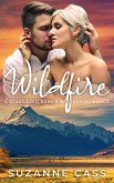 Wildfire (Stargazer Ranch Mystery Romance, #1) (eBook, ePUB)