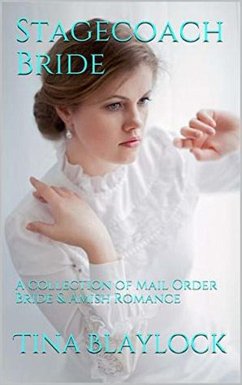 Cover Stagecoach Bride (eBook, ePUB)