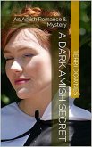 A Dark Amish Secret (eBook, ePUB)