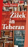 Zizek in Teheran (eBook, ePUB)