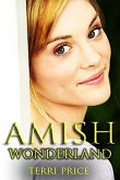 Amish Wonderland (eBook, ePUB)