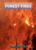 Forest Fires (eBook, ePUB)