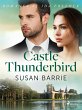 Castle Thunderbird (eBook, ePUB) - Bild 1
