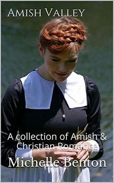 Amish Valley (eBook, ePUB) Amish Valley (eBook, ePUB)