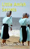 Little Amish Secrets (eBook, ePUB)
