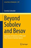 Beyond Sobolev and Besov (eBook, PDF)