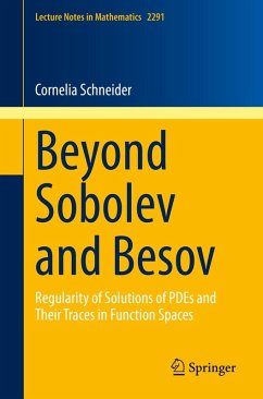 Beyond Sobolev and Besov (eBook, PDF) - Schneider, Cornelia