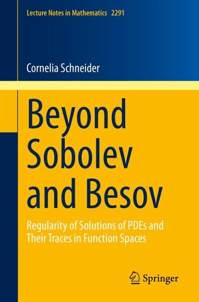 Beyond Sobolev and Besov (eBook, PDF) Beyond Sobolev and Besov (eBook, PDF)