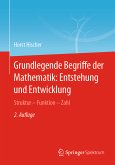 Grundlegende Begriffe der Mathematik: Entstehung und Entwicklung (eBook, PDF)