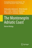 The Montenegrin Adriatic Coast (eBook, PDF)