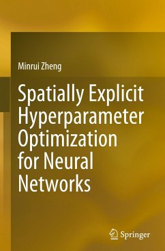 Spatially Explicit Hyperparameter Optimization for Neural Networks - Zheng, Minrui