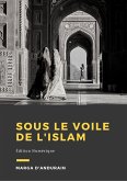 Sous le voile de l'Islam (eBook, ePUB)