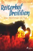 Reiterhof Dreililien 4 - Der Sommer im Tal