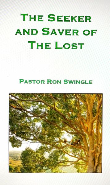 Seeker and Saver of the Lost (eBook, ePUB)