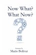 Now What? What Now? - Bild 1