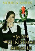 Amish Christmas Miracle (eBook, ePUB)