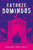 Catorze domingos (eBook, ePUB)