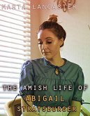 The Amish Life of Abigail Stratsburg (eBook, ePUB)