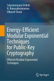 Energy-Efficient Modular Exponential Techniques for Public-Key Cryptography (eBook, PDF)