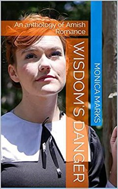 Wisdom's Danger (eBook, ePUB) - Marks, Monica